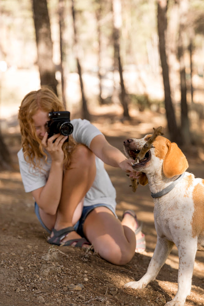 photographer shooting dog